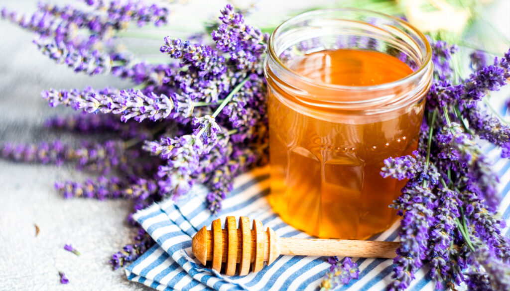 découvrez les desserts provençaux incontournables : spécialités sucrées typiques de la région à savourer pour un voyage gourmand en provence.