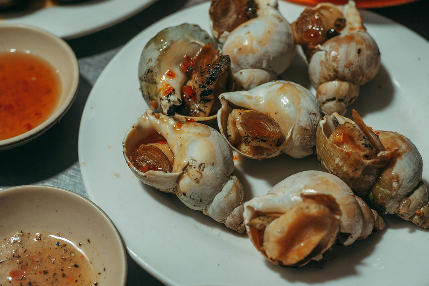 Comment cuire les bulots pour qu’ils soient bien tendres ?