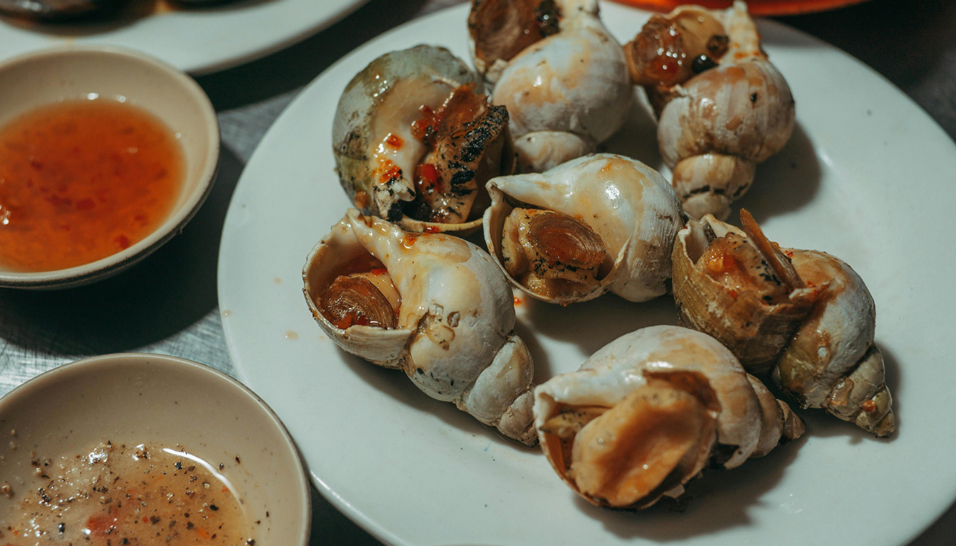 Comment cuire les bulots pour — bulots cuits plat de fruits de mer