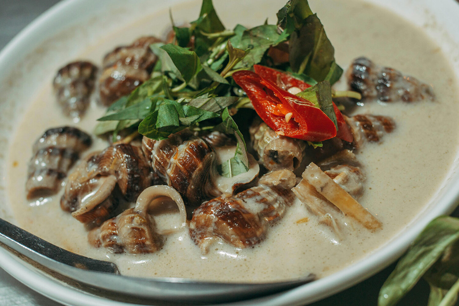 Cuisson des bigorneaux : entre l&rsquo;eau froide ou l&rsquo;eau chaude que faut-il choisir ?