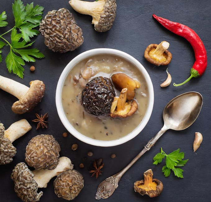 Morilles Fraiches Champignons