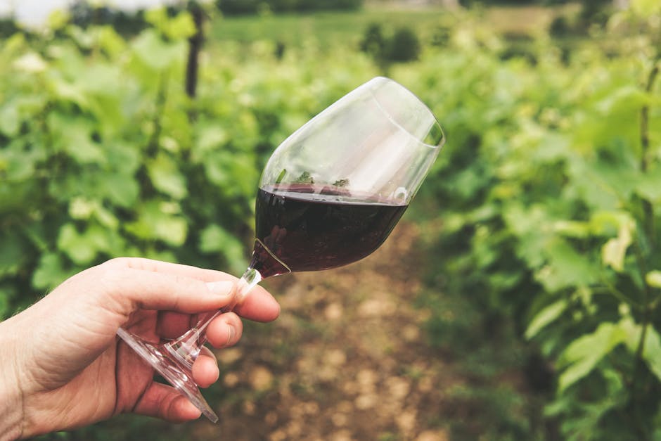 Vin Rouge Bourgogne Verre