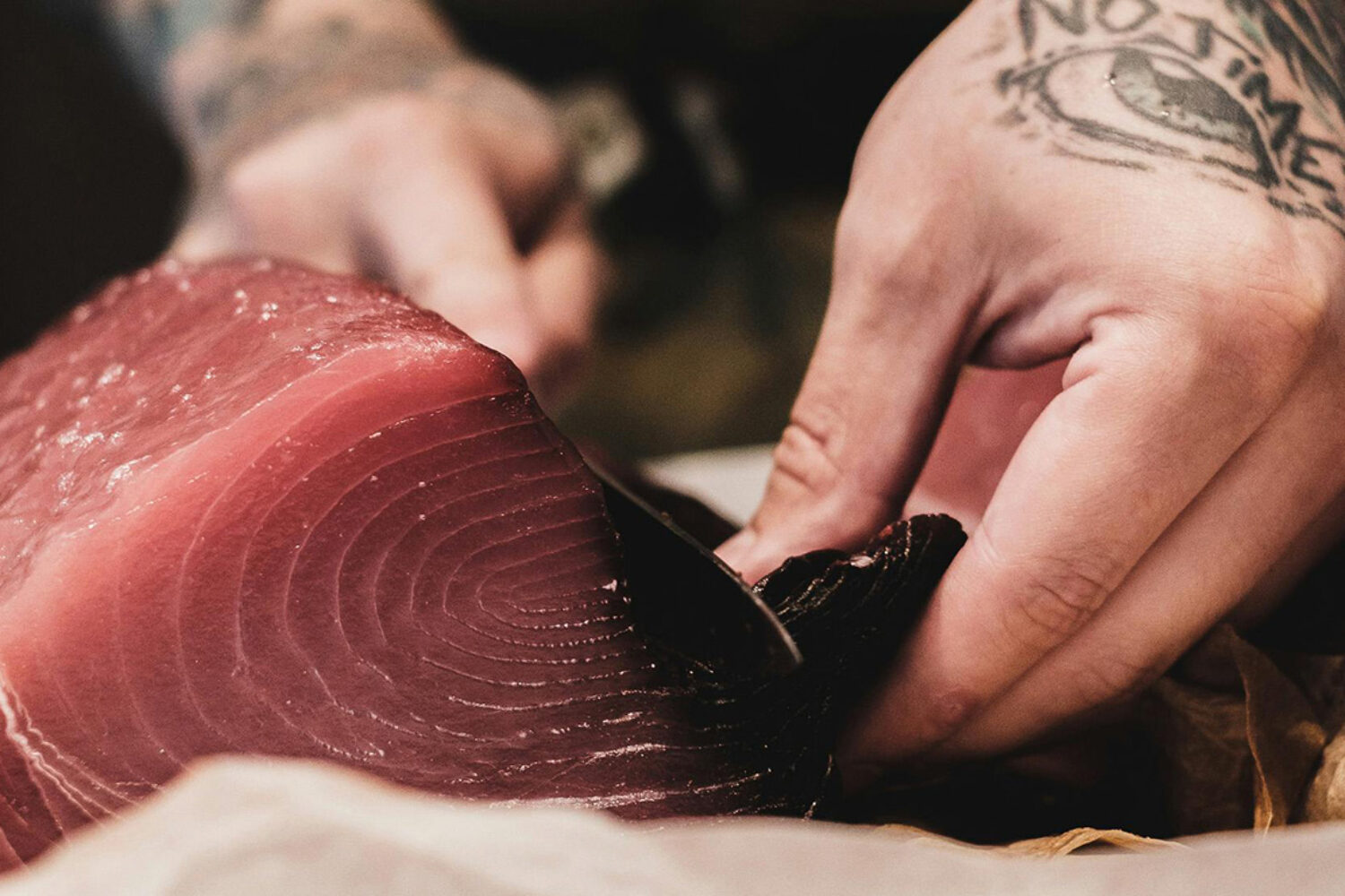Thon albacore : origines, caractéristiques et spécificité de ce type de thon