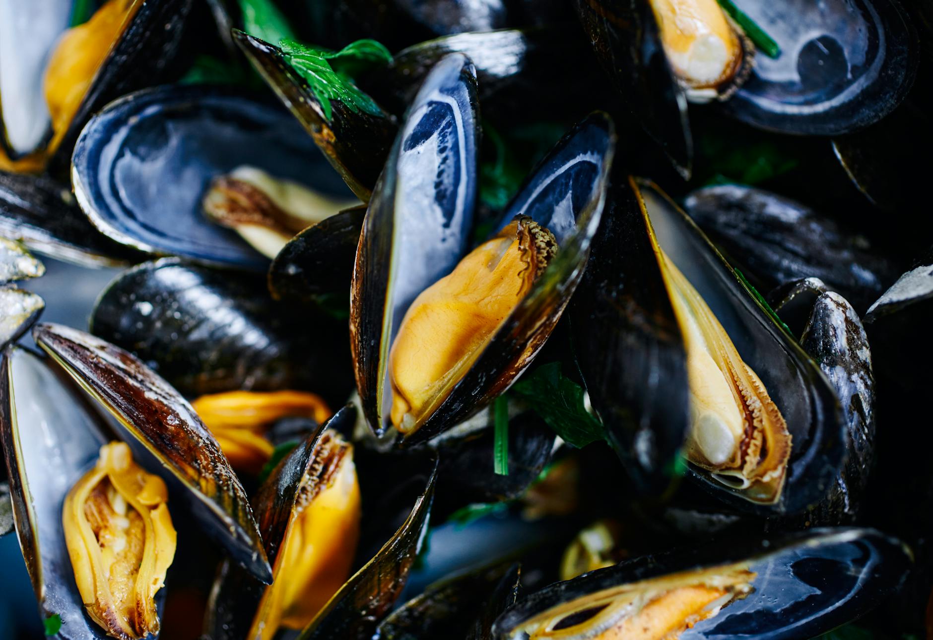 Valeur nutritionnelle des moules cuites : un concentré de protéines, vitamines et minéraux — moules cuites plat de fruits de mer