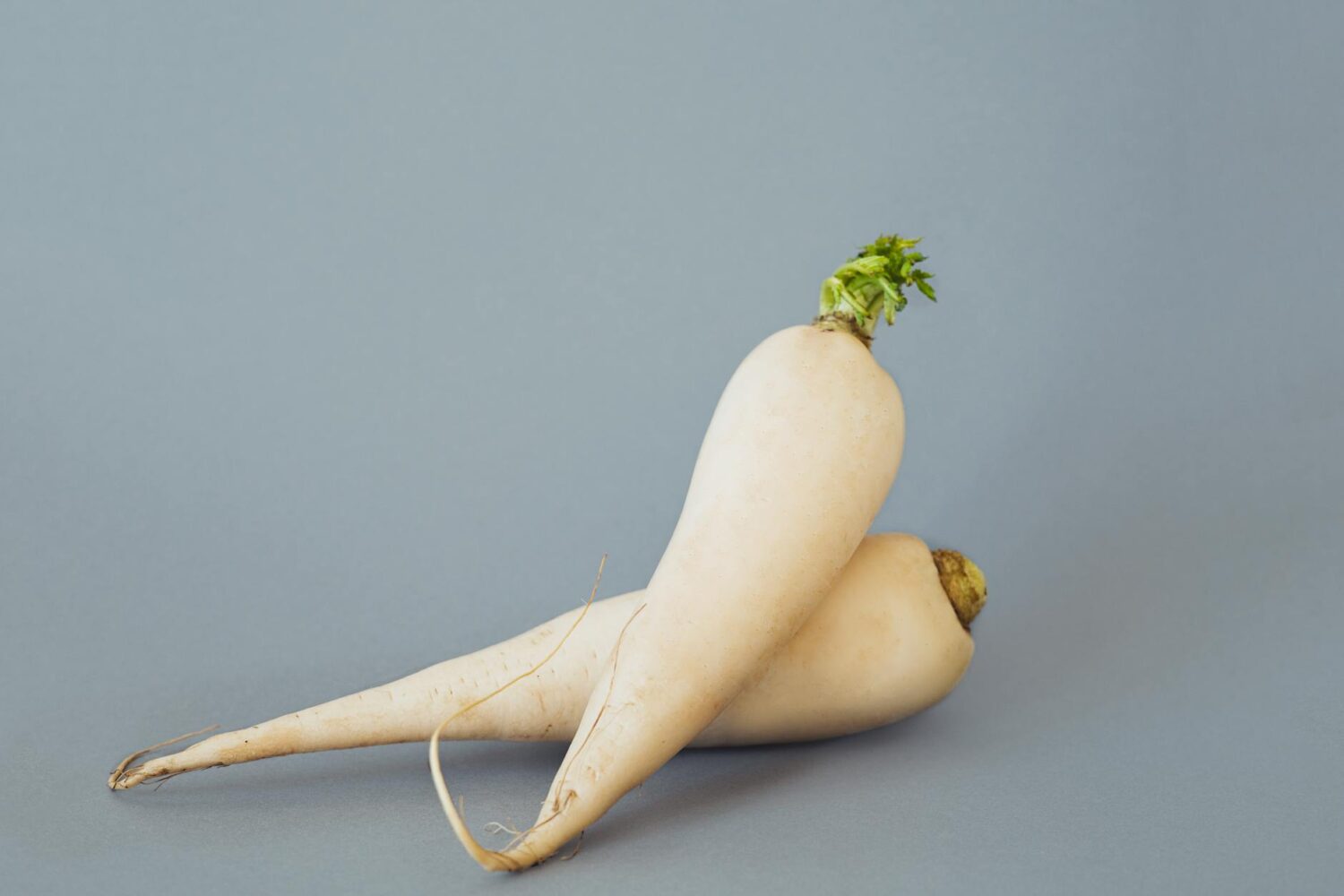 Légume en D : idées d’aliments pour jeux et abécédaires