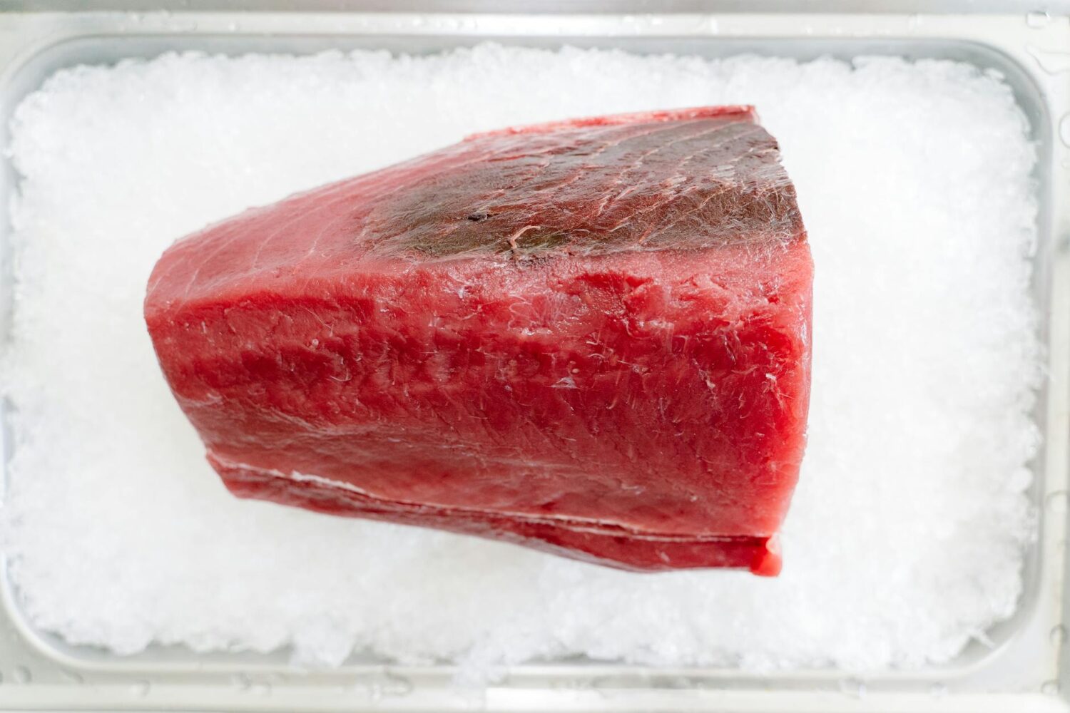Thon listao ou albacore : quelles différences et lequel choisir ?