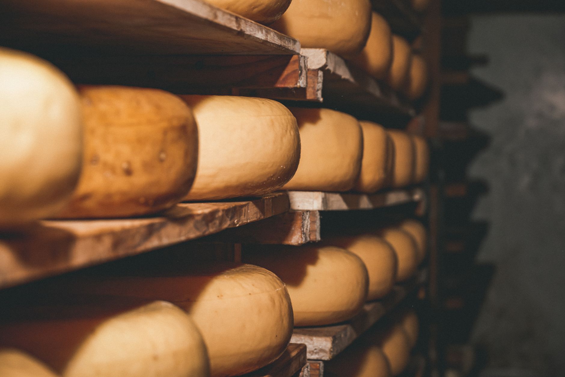 Maison Luisier affineur : un ancrage valaisan et une vision très personnelle du fromage — cave d'affinage fromage traditionnel