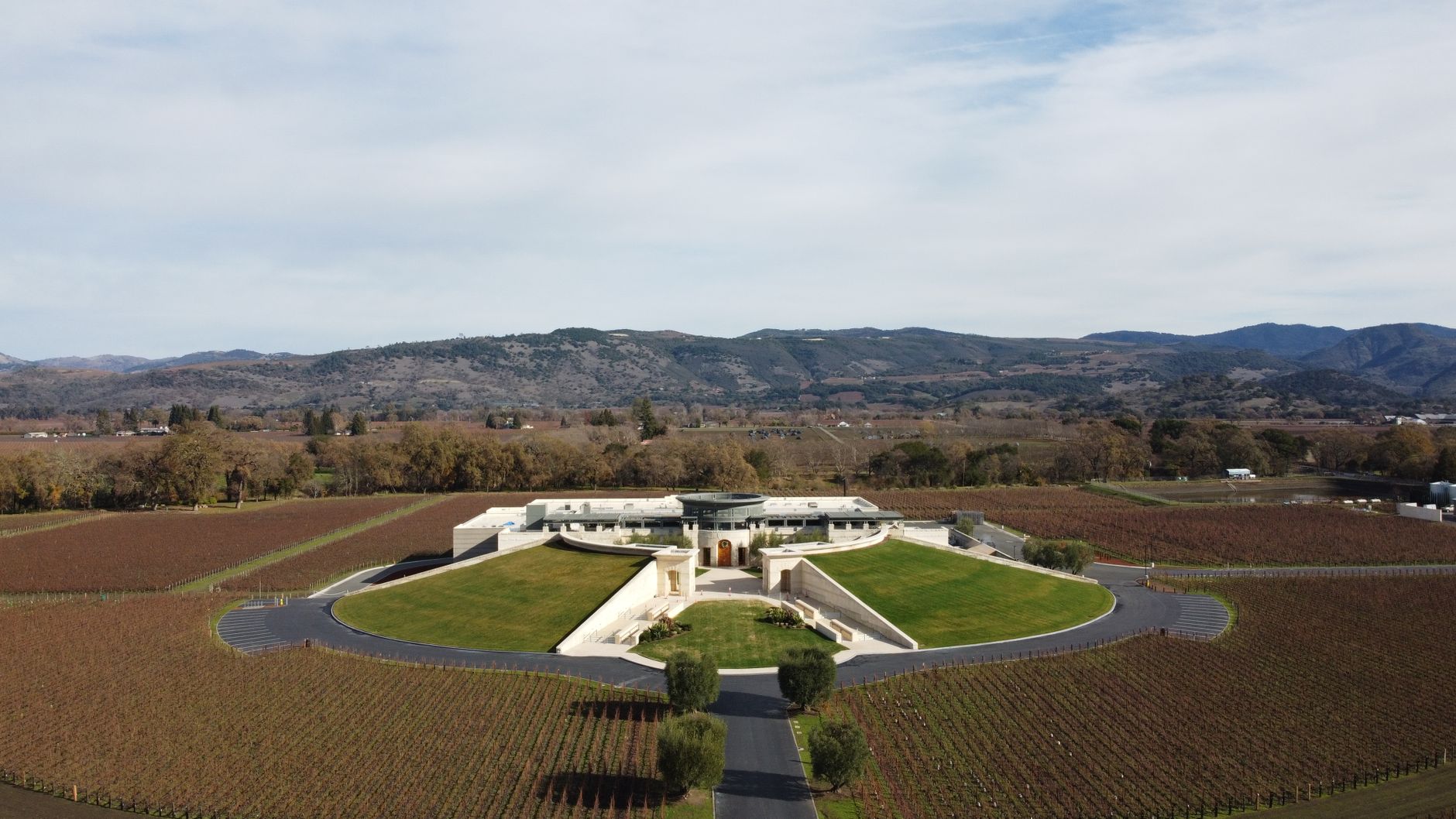 Vinovalie, une cave coopérative du Sud-Ouest entre histoire collective et projet de territoire — paysage vignoble cave coopérative