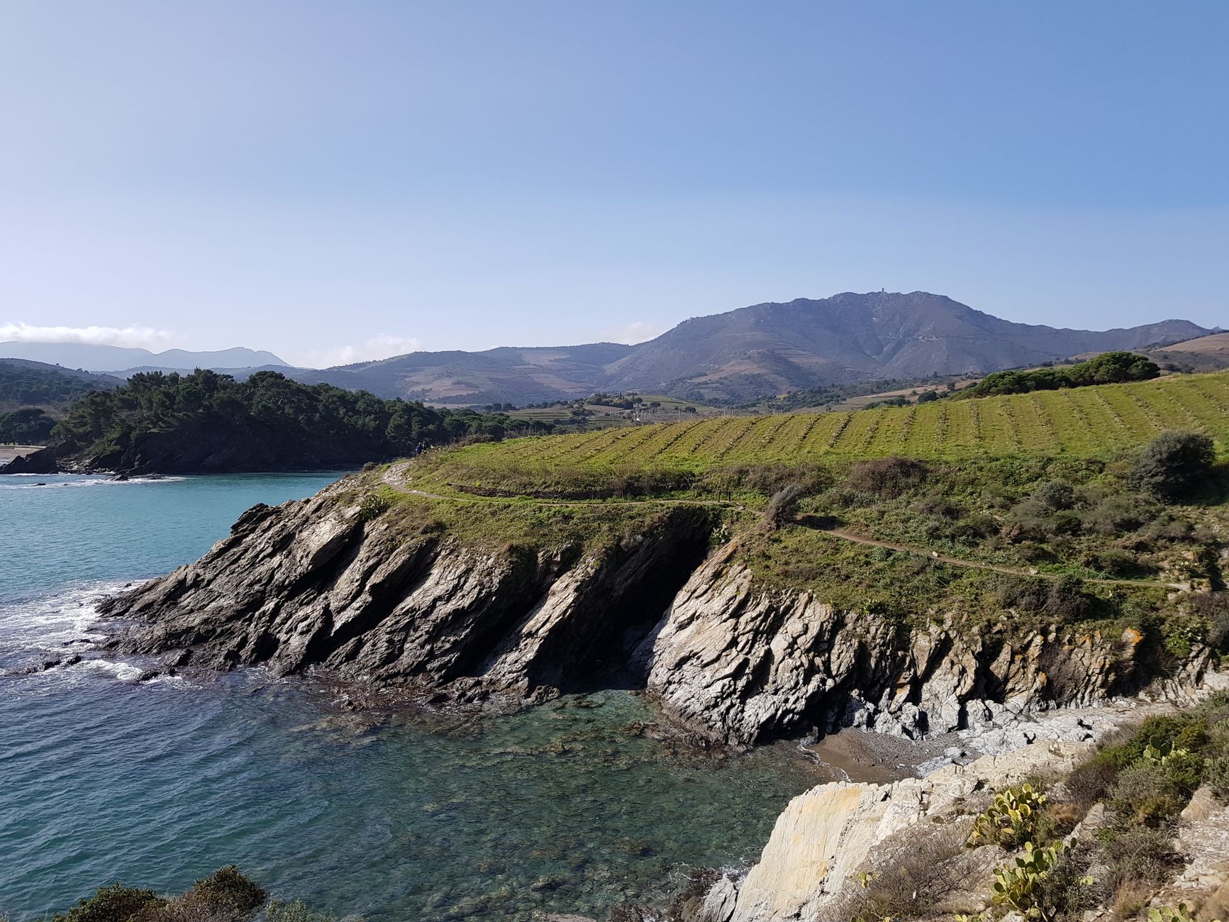 Château Valmy, un vignoble balcon sur la mer pour le vin rosé du Roussillon — vignoble surplombant la mer
