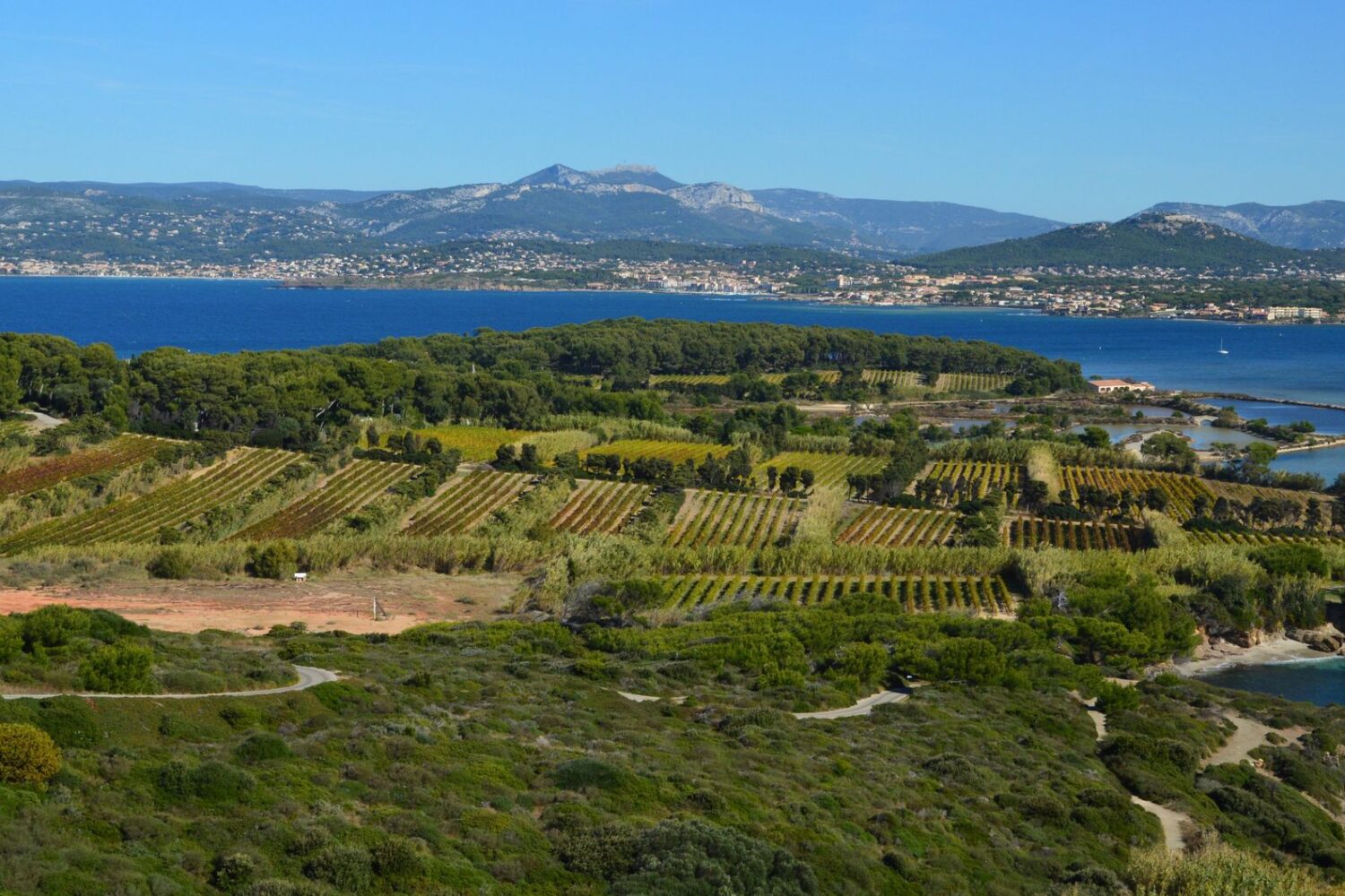 Château Valmy : présentation de cet acteur incontournable du vin rosé en Pyrénées-Orientales