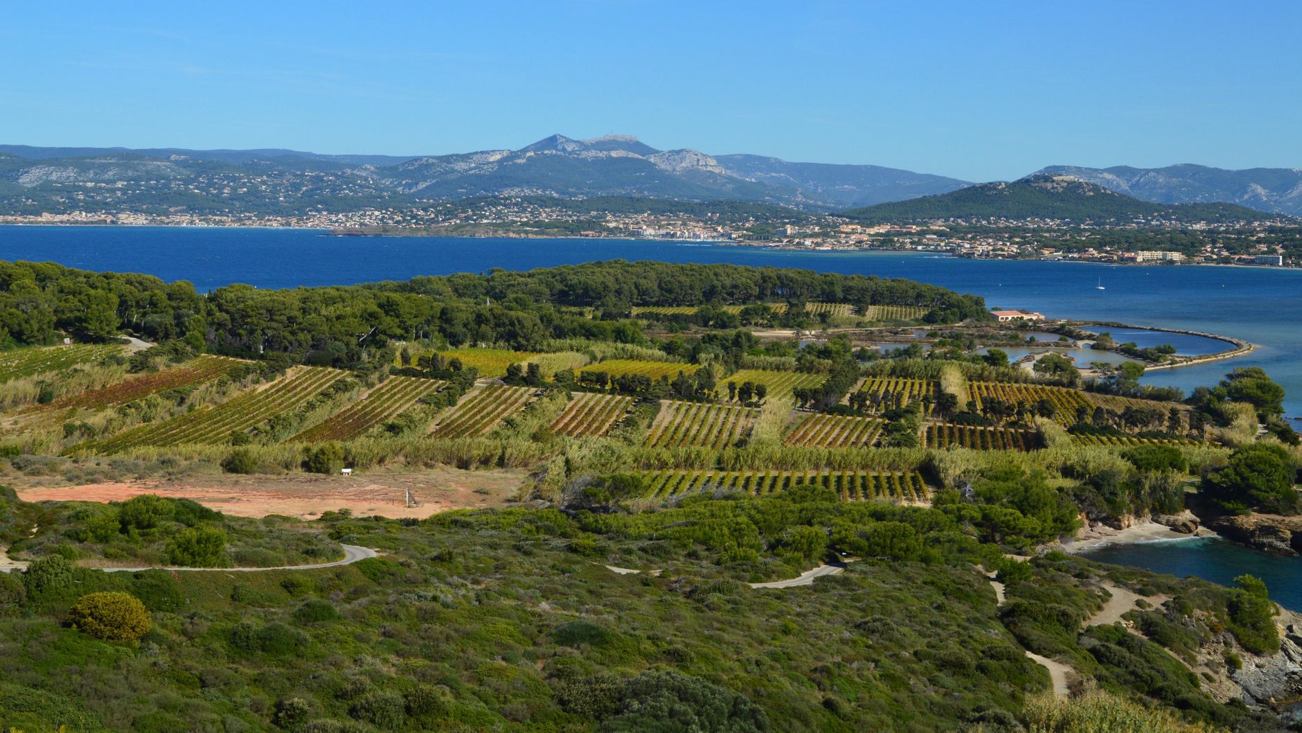 Château Valmy présentation de cet — vignoble surplombant la mer