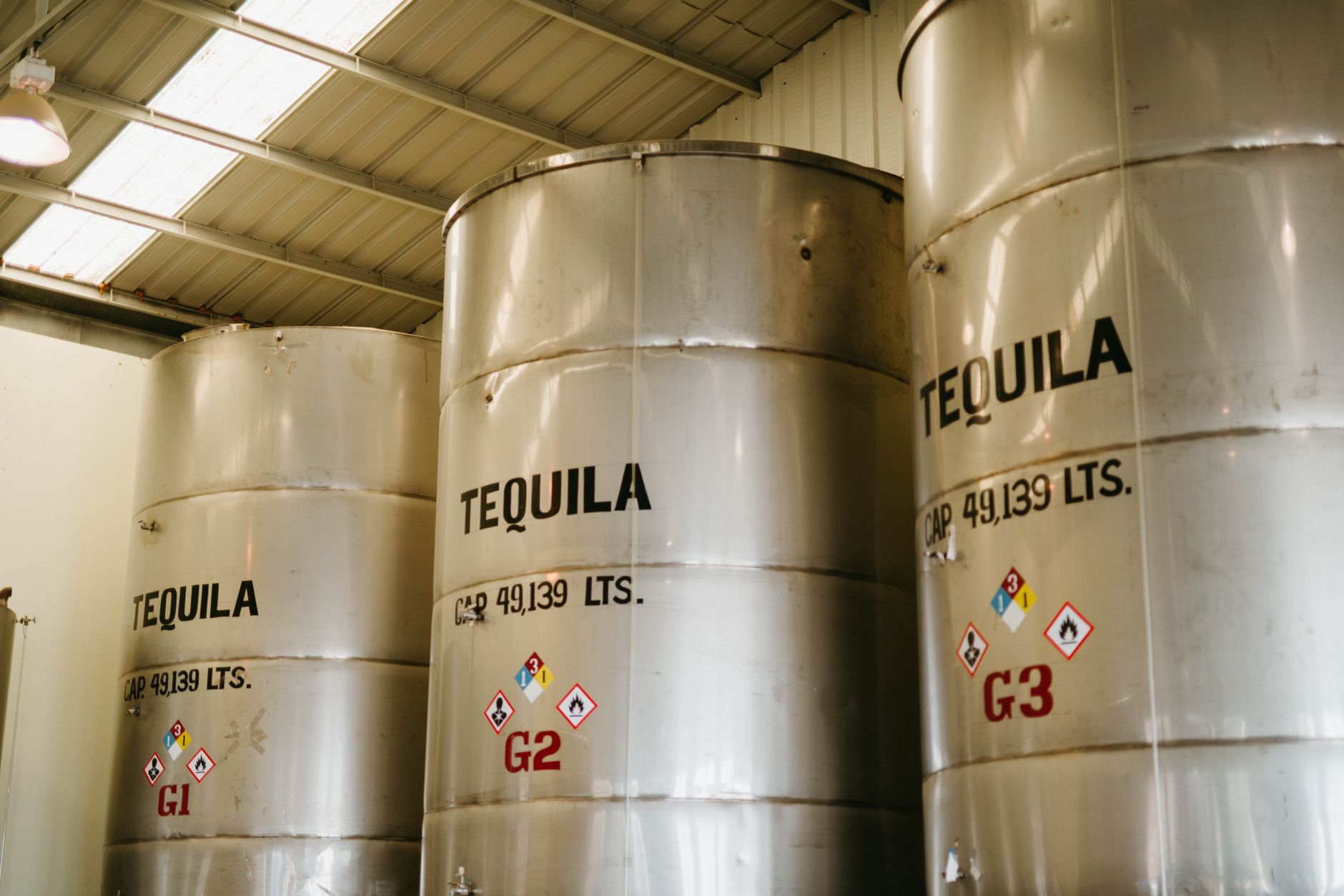 Tequila Azul et agave bleu : particularités, terroirs et styles à connaître — plante d'agave bleu distillation tequila