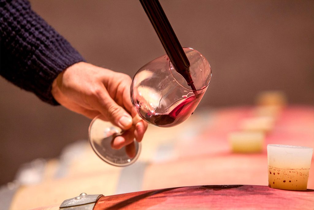 Gel, grêle, canicule : comment les vignerons protègent leur récolte