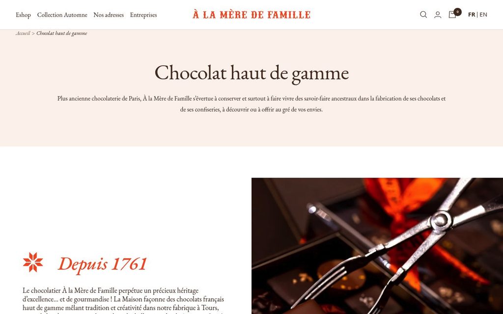 Apercu du site La Mère de Famille